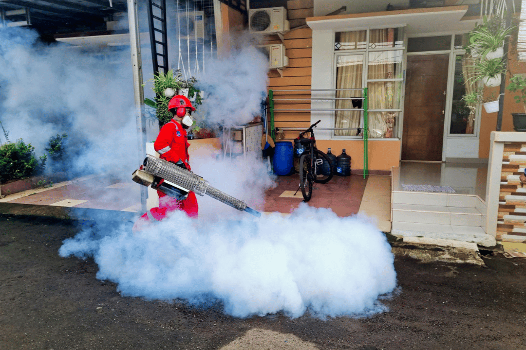 Mosquito fogging Services